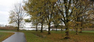 Herfst aan de Zevenhuizerplas