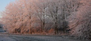 Sneeuw in Oudverlaat!!!