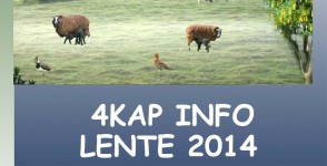 Vierkap INFO lente 2014